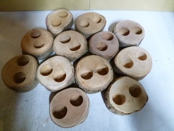 �߸˽�ʬ����������16���ѡ�2�� ��12�ġʲ�������