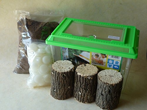 ���������������񥻥åȡ��祱�����դ��ʲ�������