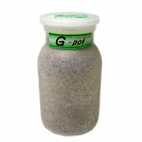 �ե����ƥå������ݻ�ӥ�G-pot��G�ݥåȡˡ�850cc���Х�ʲ�������