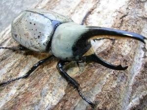 �����ȥ������֥ȡ�����ʲ�������