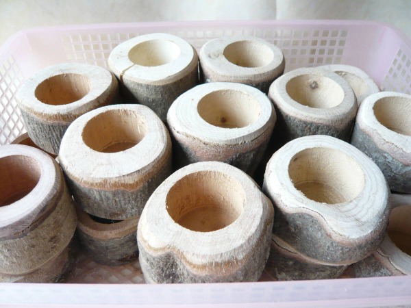 ���������磻�ɥ��꡼16���ѡ�1��ʲ�������