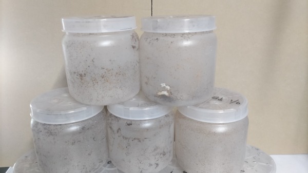 ��š����ܥȥ롡1400��㡡1�ܡ��ʲ�������