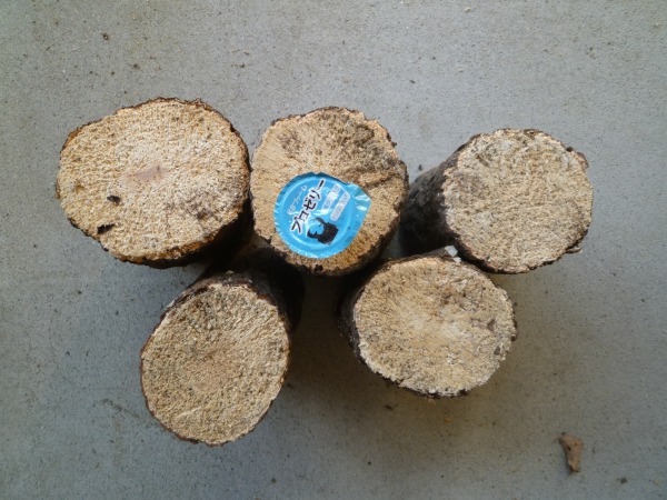 ���餫���ࡡ�����ڡ�M�������ʲ�������