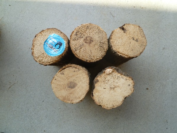 Ķ�Ť��ࡡ�����ڡ�M�������ʲ�������