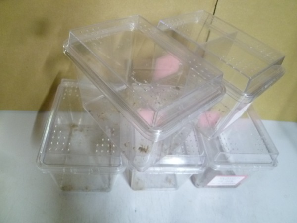 ��š����Х�����ʤ���饱�����ʾ������Ǥ����ʲ�������