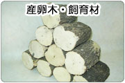 産卵木・飼育材